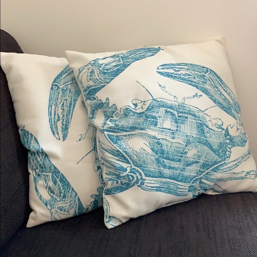 Set of 2 decorative pillows